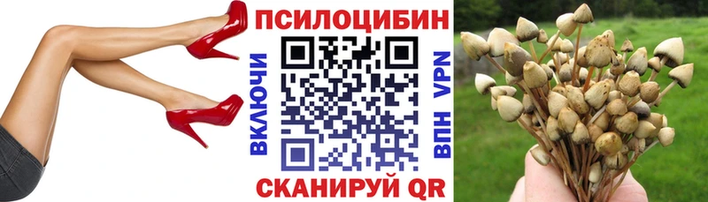 Псилоцибиновые грибы мицелий Верхнеуральск